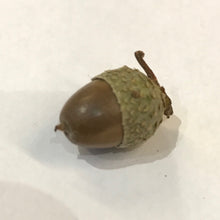 Load image into Gallery viewer, Solid Silver Acorn Pendant